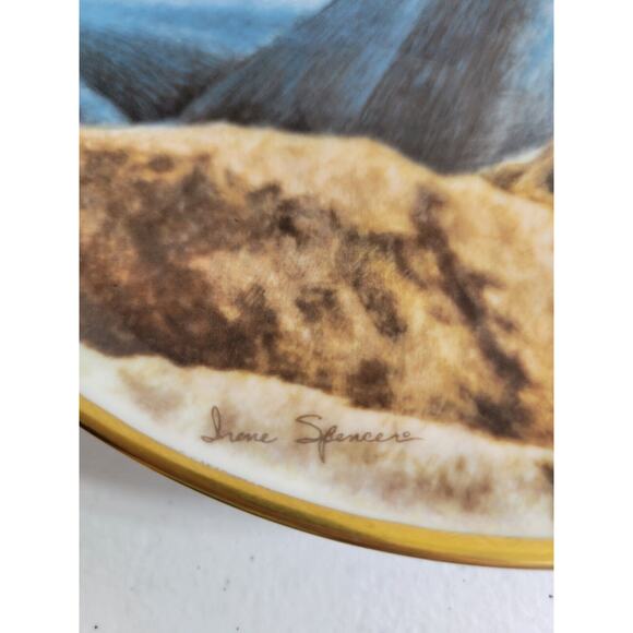 Vtg Fairmont The Patient Ones by Irene Spencer Collectible Plate 8.5" #5773 - Picture 5 of 8